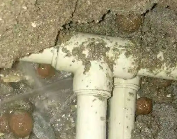 金凤测漏水多少钱