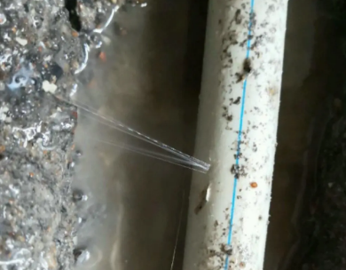 金凤测漏水哪家好