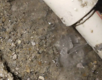 金凤测漏水电话号码