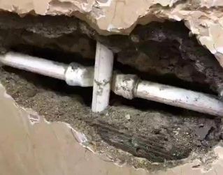 金凤测漏水哪家好