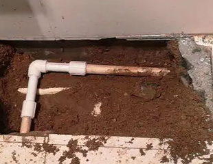 金凤测漏水哪家好