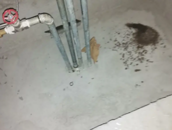 金凤卫生间测漏水价格明细