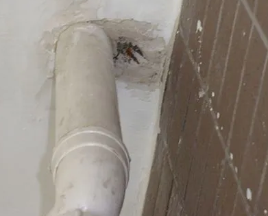 金凤漏水检测哪家好